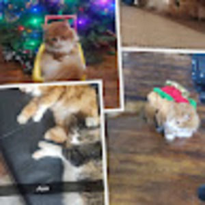 Meet your Posher, Katelynn